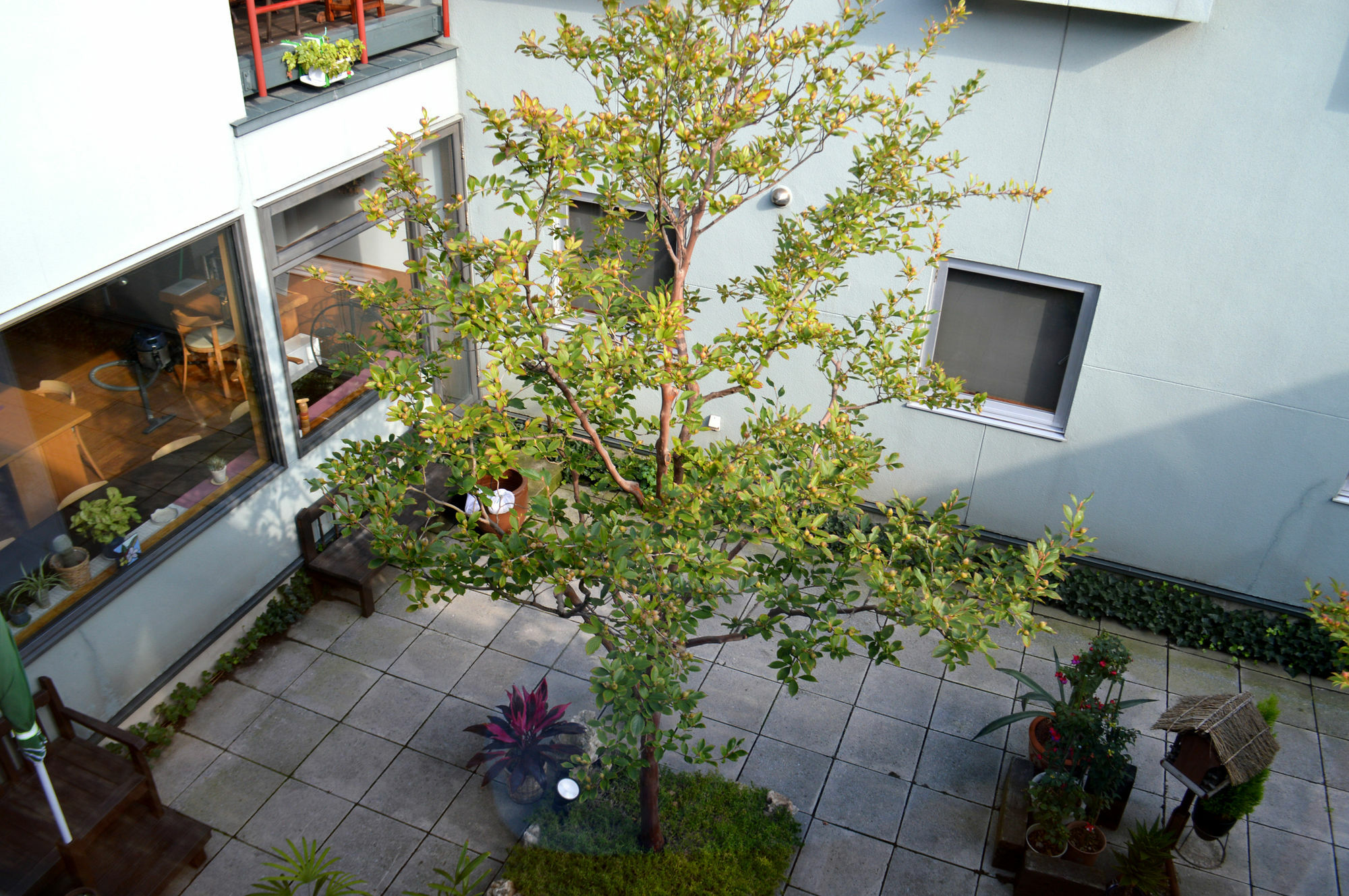 B&B Pension Hakodate-Mura Exterior photo